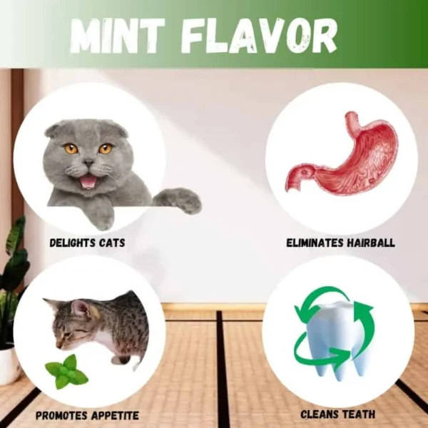 Abacate Catnip - Hortela - Image 2