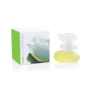 KENZO - CA SENT BEAU EDT 50ML @